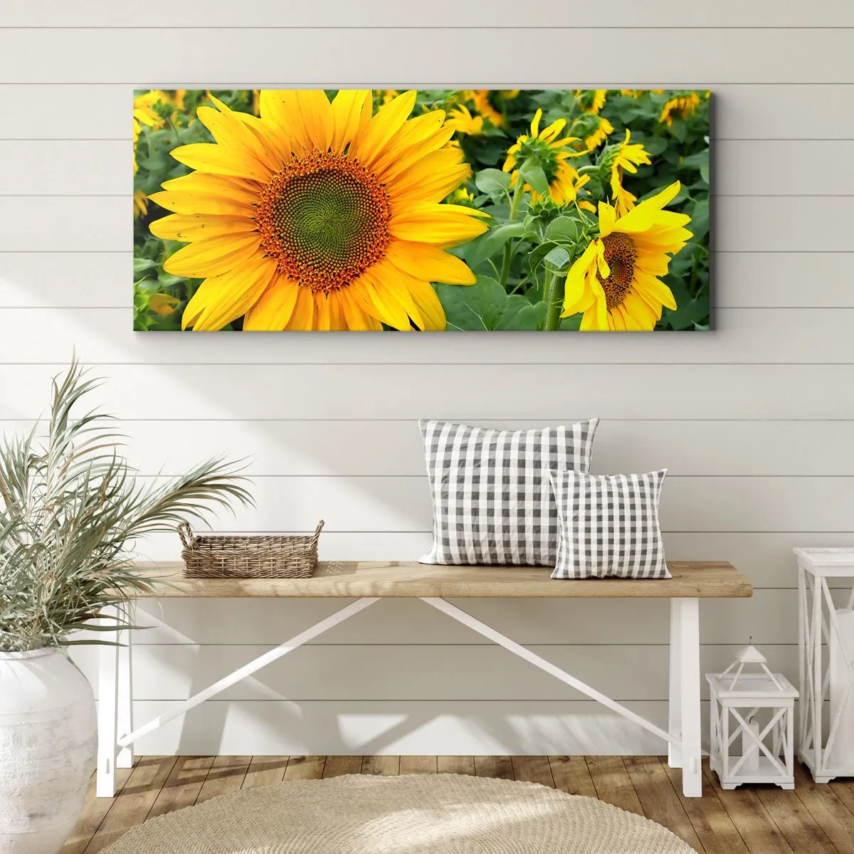 Canvas picture - Hundreds of the Suns - 100x40 cm