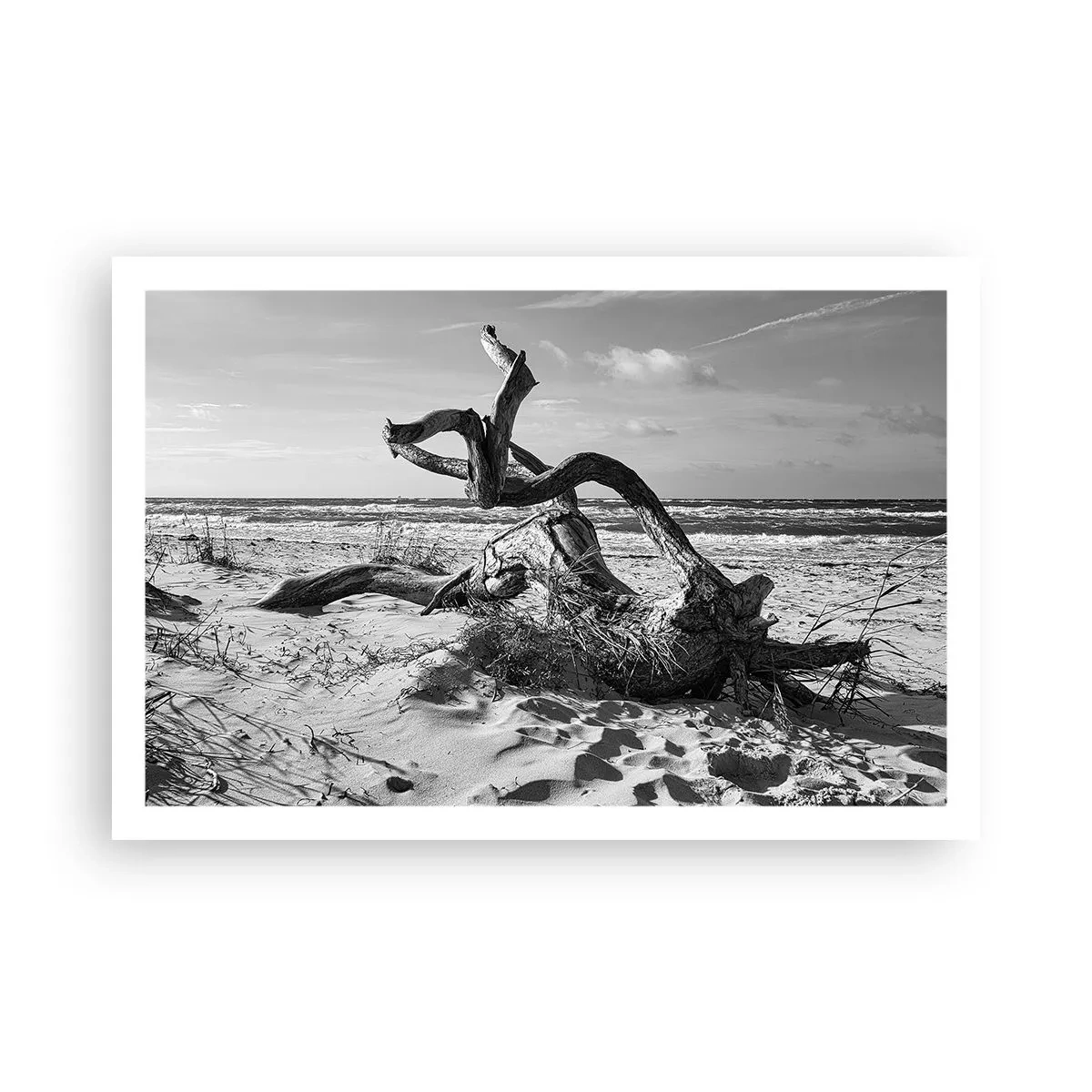 Poster - Seaside Sculpture - 91x61 cm