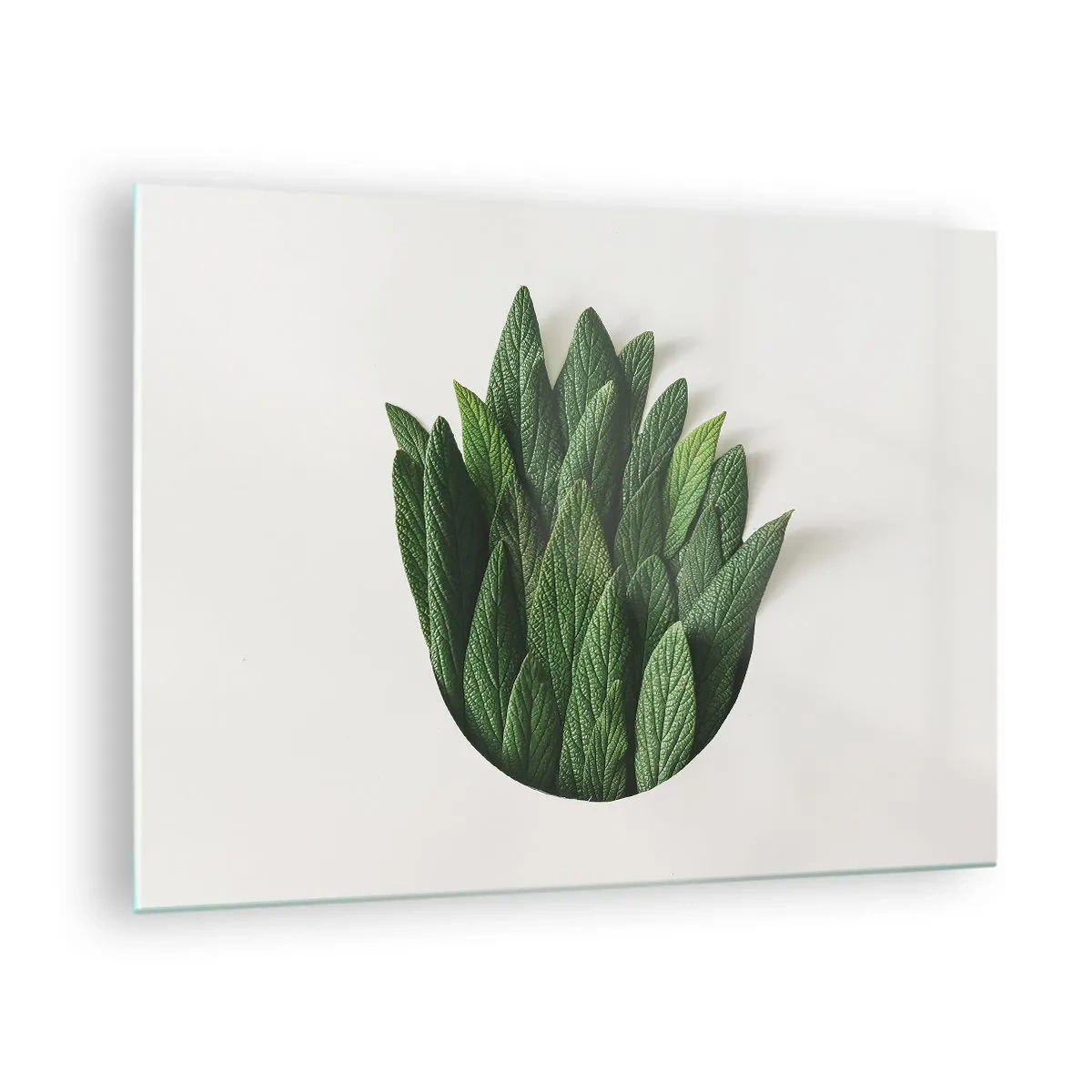 Glass picture - Green leaves arranged in the shape of a vase on a white background - 70x50cm - Untamed Curiosity - Modern wall decoration for the living room and bedroom ARTTOR