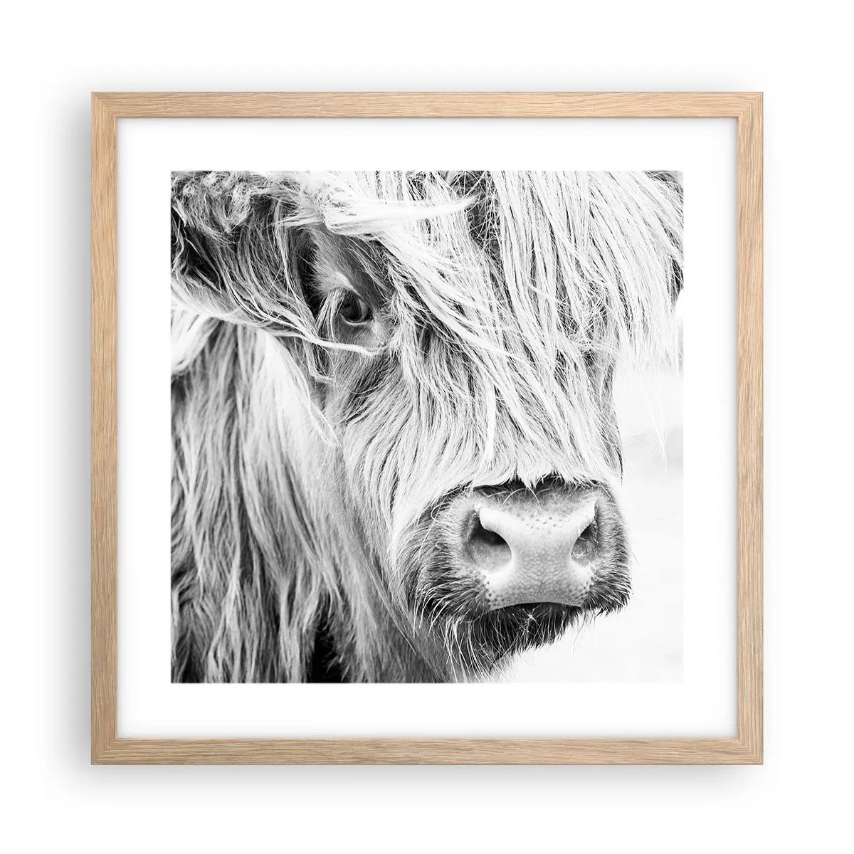 Poster in light oak frame - Scottish Wilderness - 40x40 cm