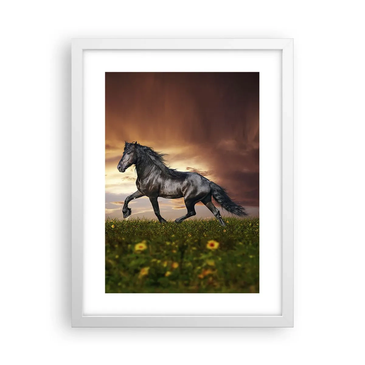 Poster in white frmae - Black Prince - 30x40 cm