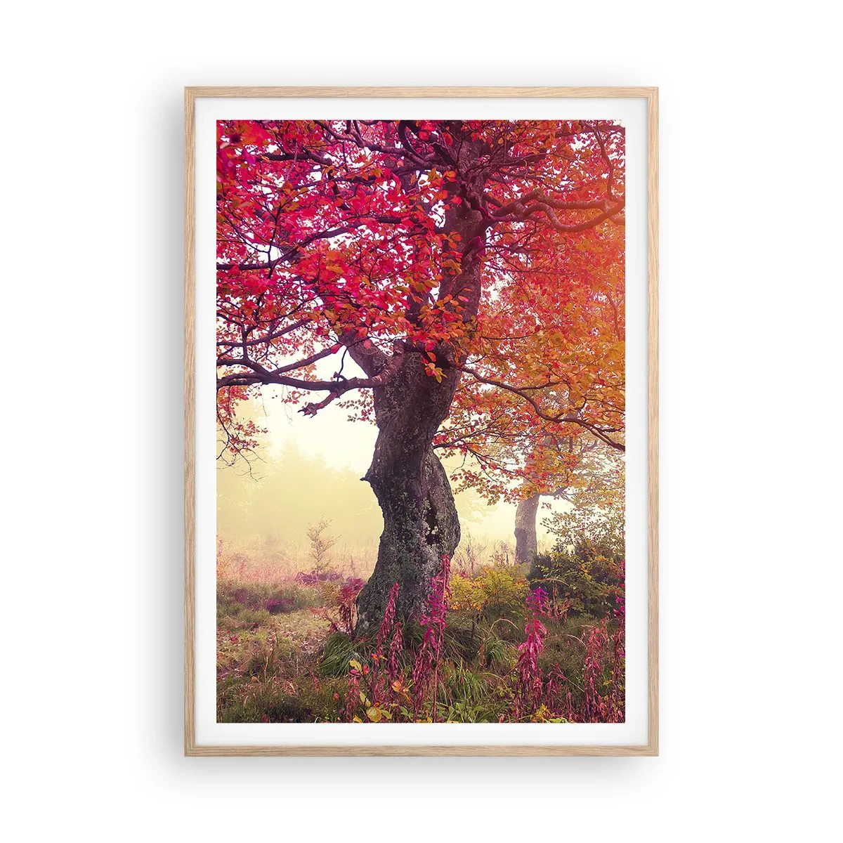 Poster in light oak frame - In Full Bloom - 70x100 cm