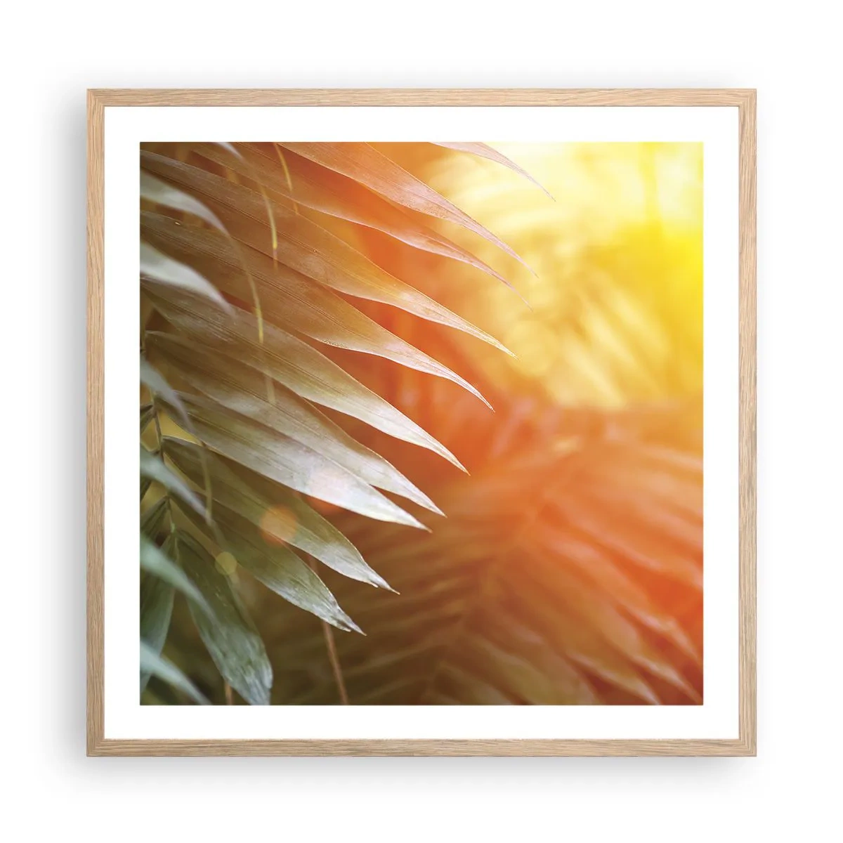 Poster in light oak frame - Morning in the Jungle - 60x60 cm
