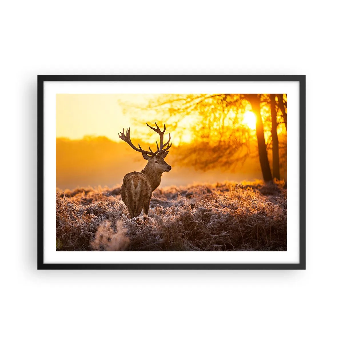 Poster in black frame - King of Autumnal Forest - 70x50 cm