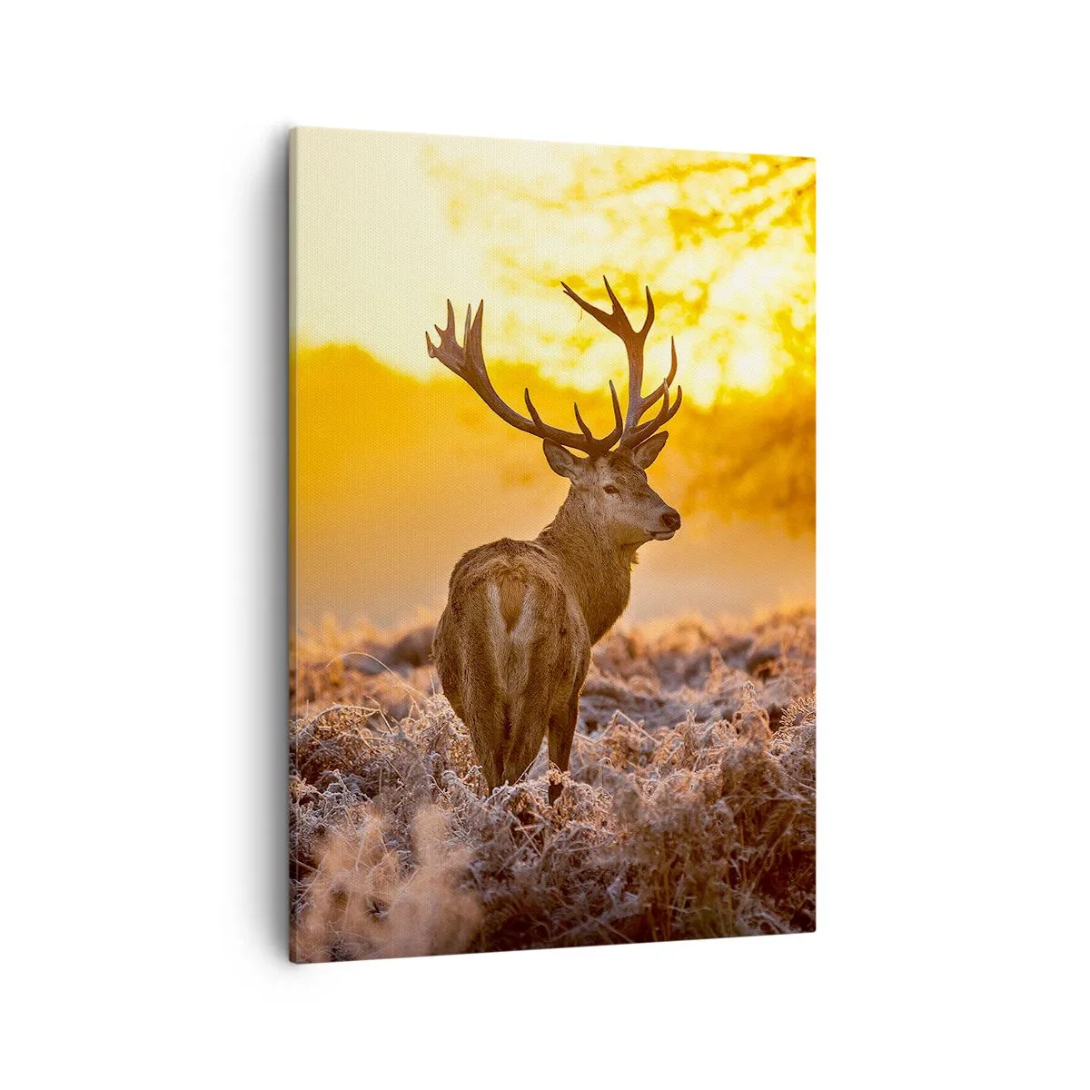 Canvas picture - King of Autumnal Forest - 50x70 cm