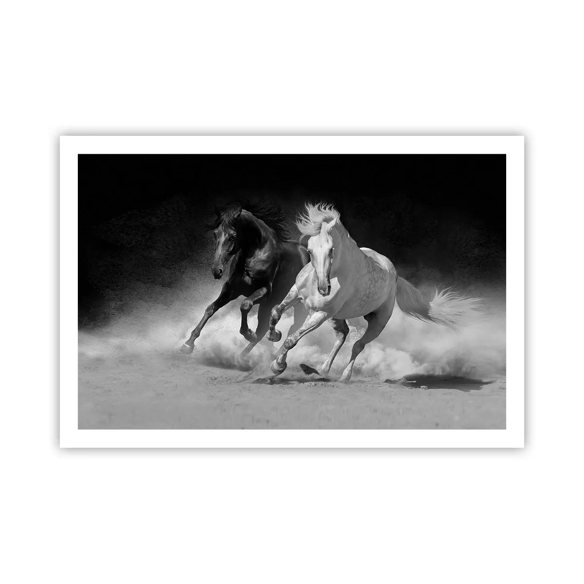 Poster - Gallop of Freedom - 91x61 cm
