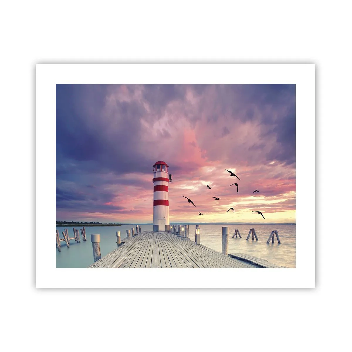 Poster - Time for Port - 50x40 cm