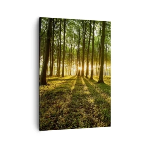Canvas picture - Photography of All Springs - 50x70 cm