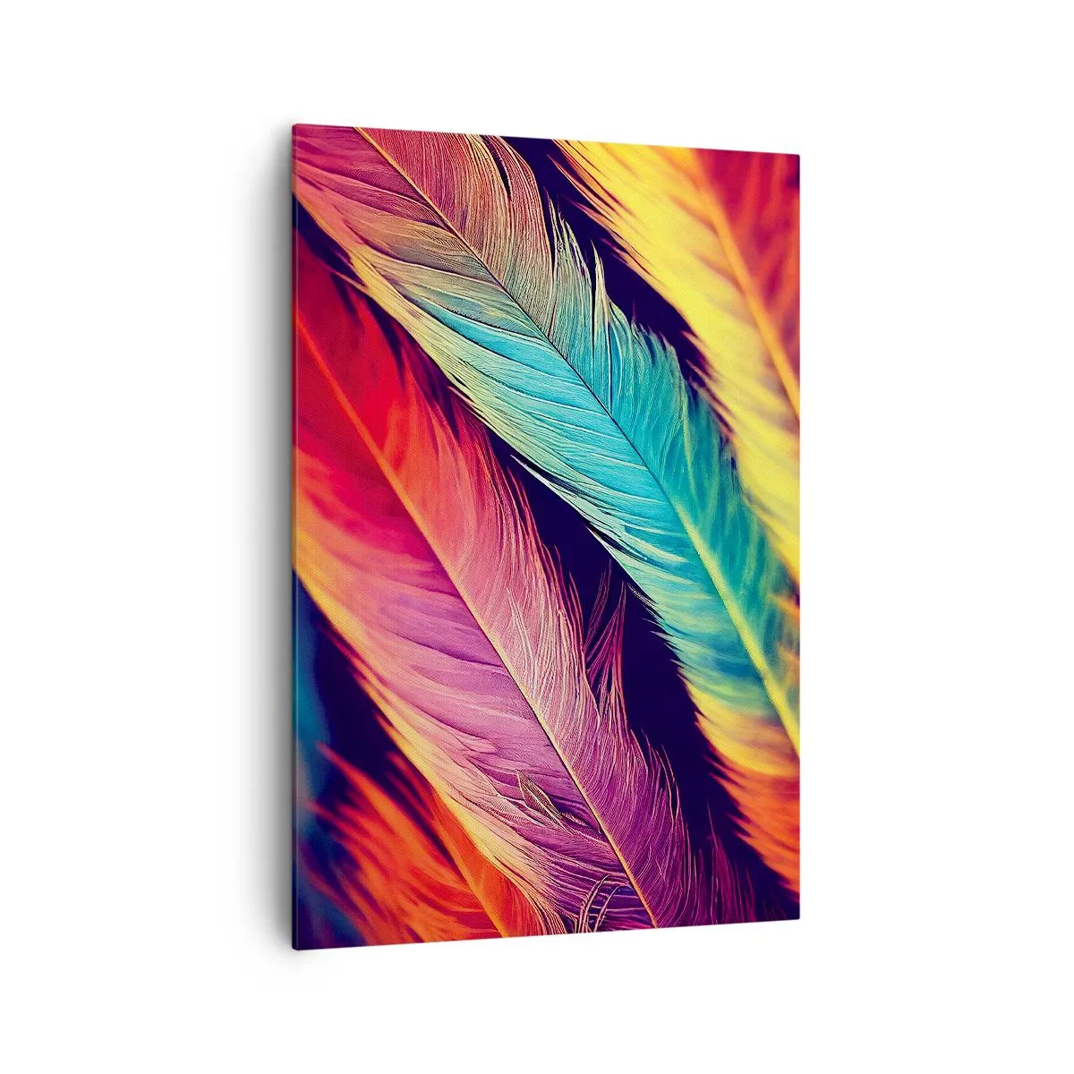 Canvas picture - Feathered Rainbow - 70x100 cm