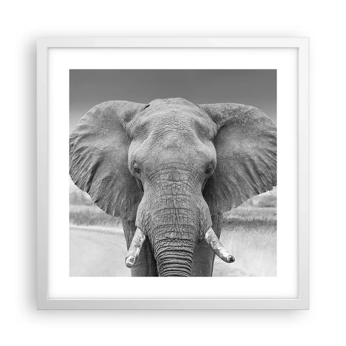 Poster in white frmae - Welcome to My World - 40x40 cm