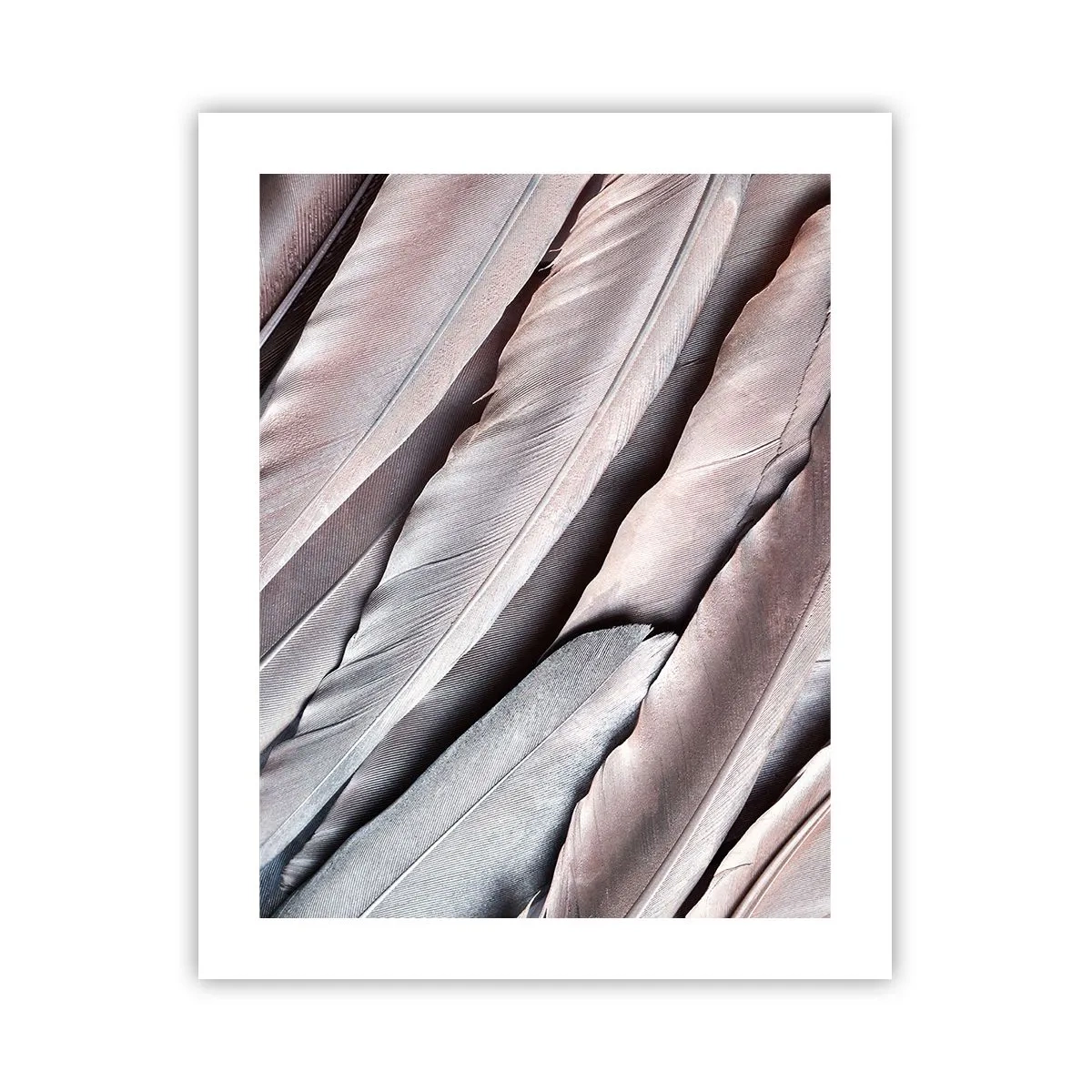 Poster - In Pink Silverness - 40x50 cm