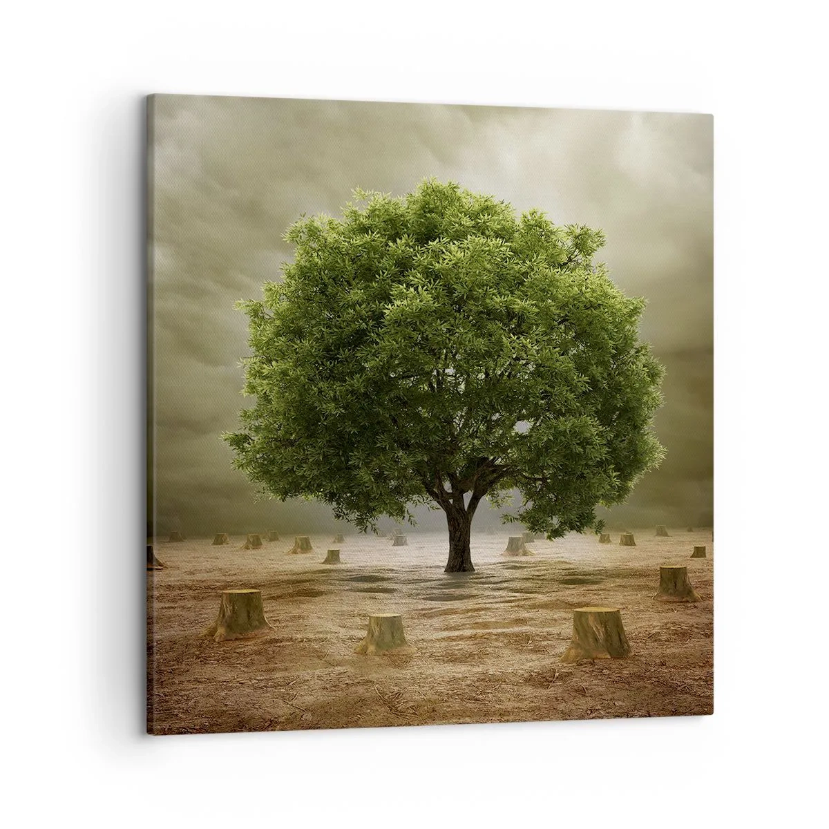 Canvas picture - Entire Hope - 50x50 cm