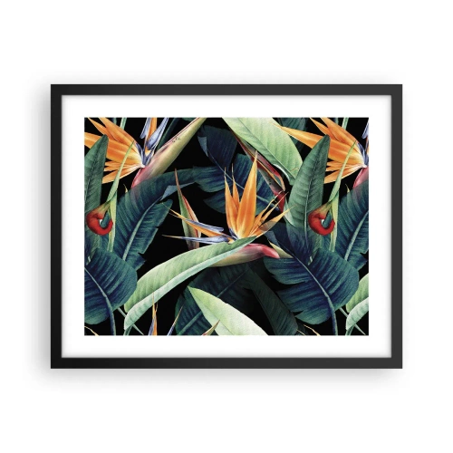 Poster in black frame - Flaming Flowers of the Tropics - 50x40 cm