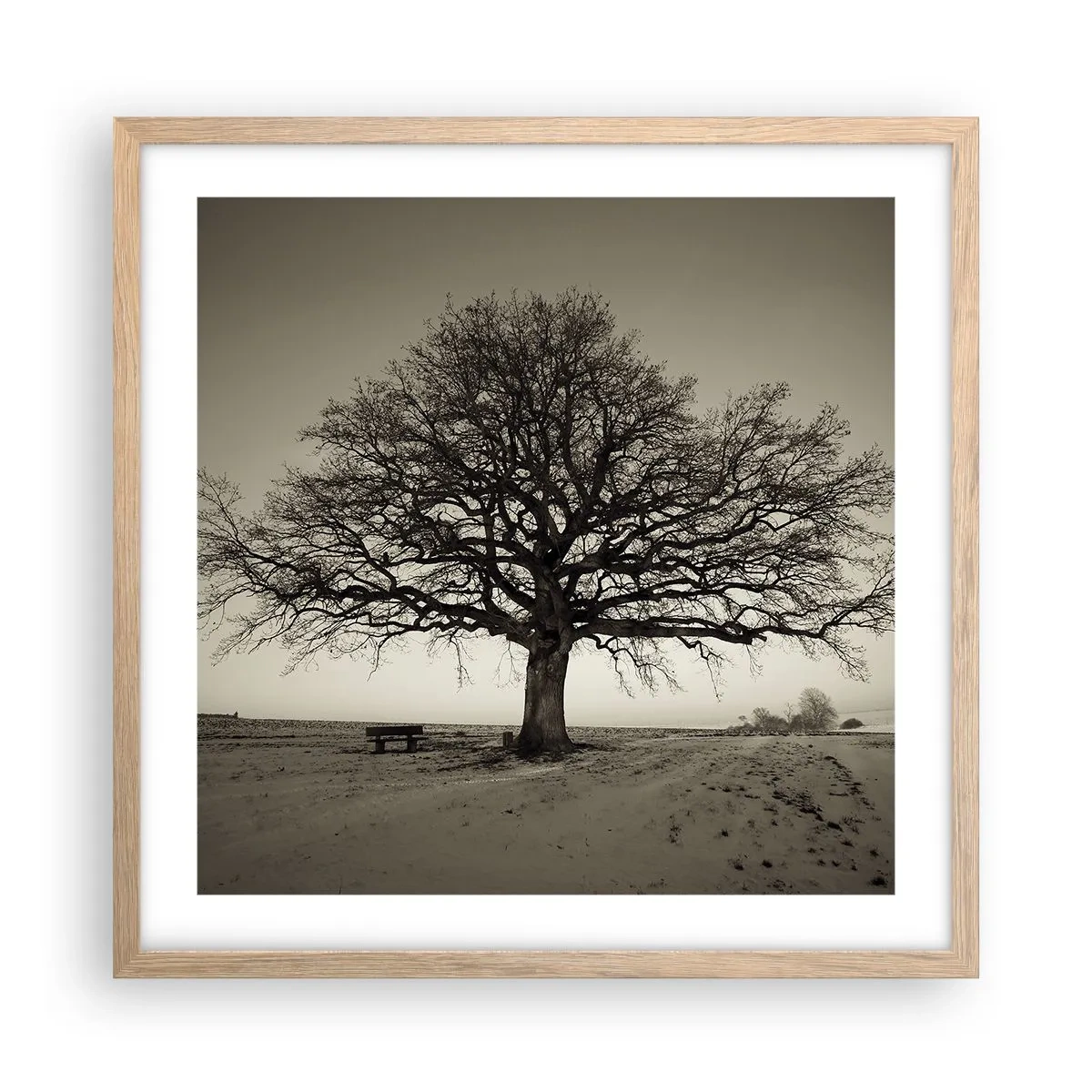 Poster in light oak frame - From Here to Eternity - 50x50 cm