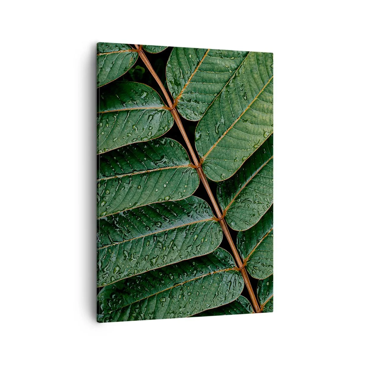 Canvas picture - In Green Rhythm - 50x70 cm