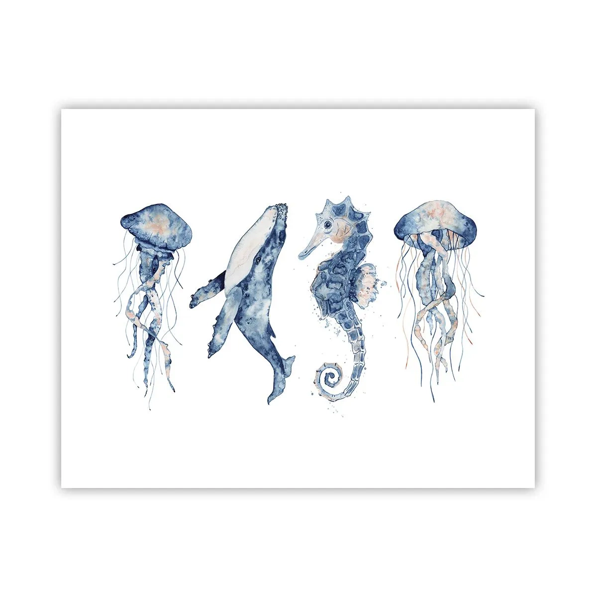Poster - Sea Quirks - 50x40 cm