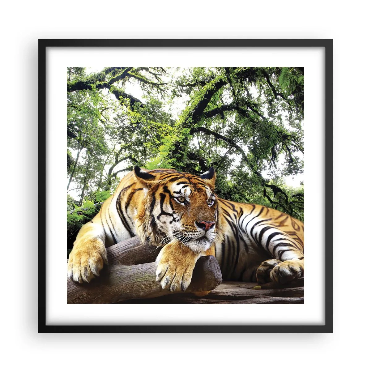 Poster in black frame - Best Regards - 50x50 cm