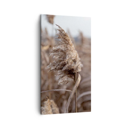 Canvas picture - Time to Fly with the Wind - 45x80 cm