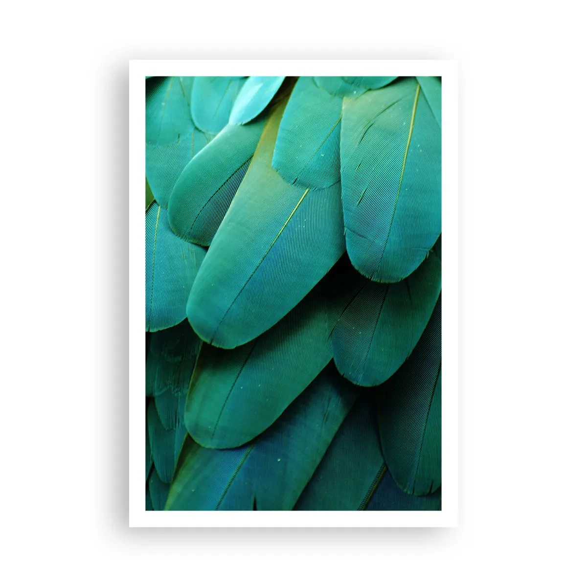 Poster - Precision of Parrot Nature - 70x100 cm
