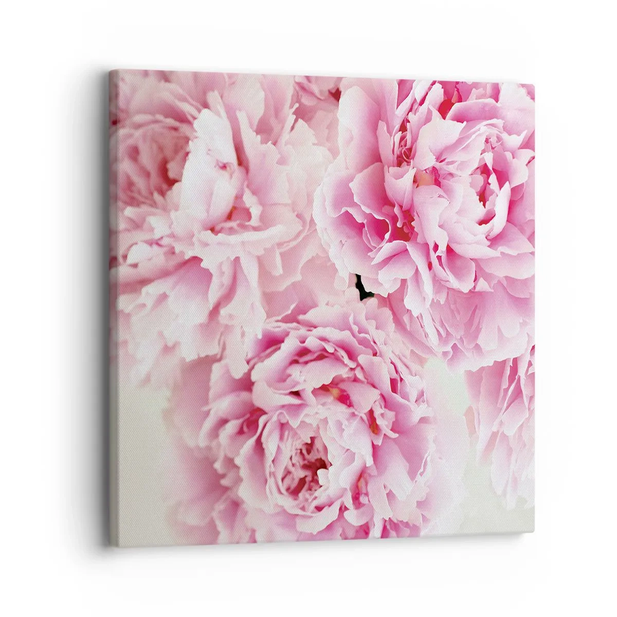 Canvas picture - In Pink Splendour - 30x30 cm