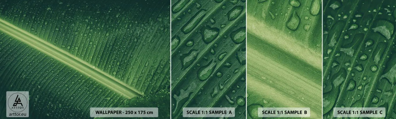 Photo Wallpaper Sample Self-Adhesive Deluxe Sticker - Structure of Green - Green leaf, Tropical Plant, Piece - 100x30 cm