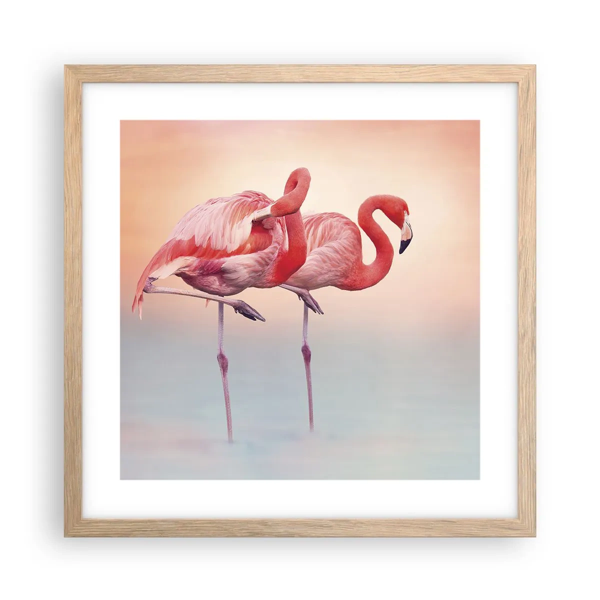 Poster in light oak frame - In the Colour Of Sunset - 40x40 cm