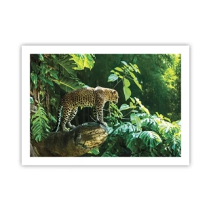 Poster - Going Hunting? - 70x50 cm