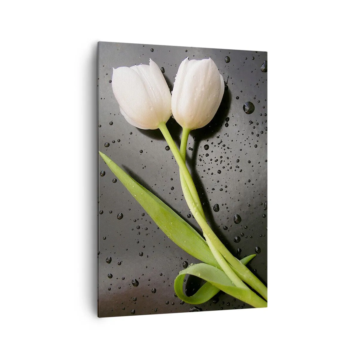 Canvas picture - Spring Braid - 70x100 cm