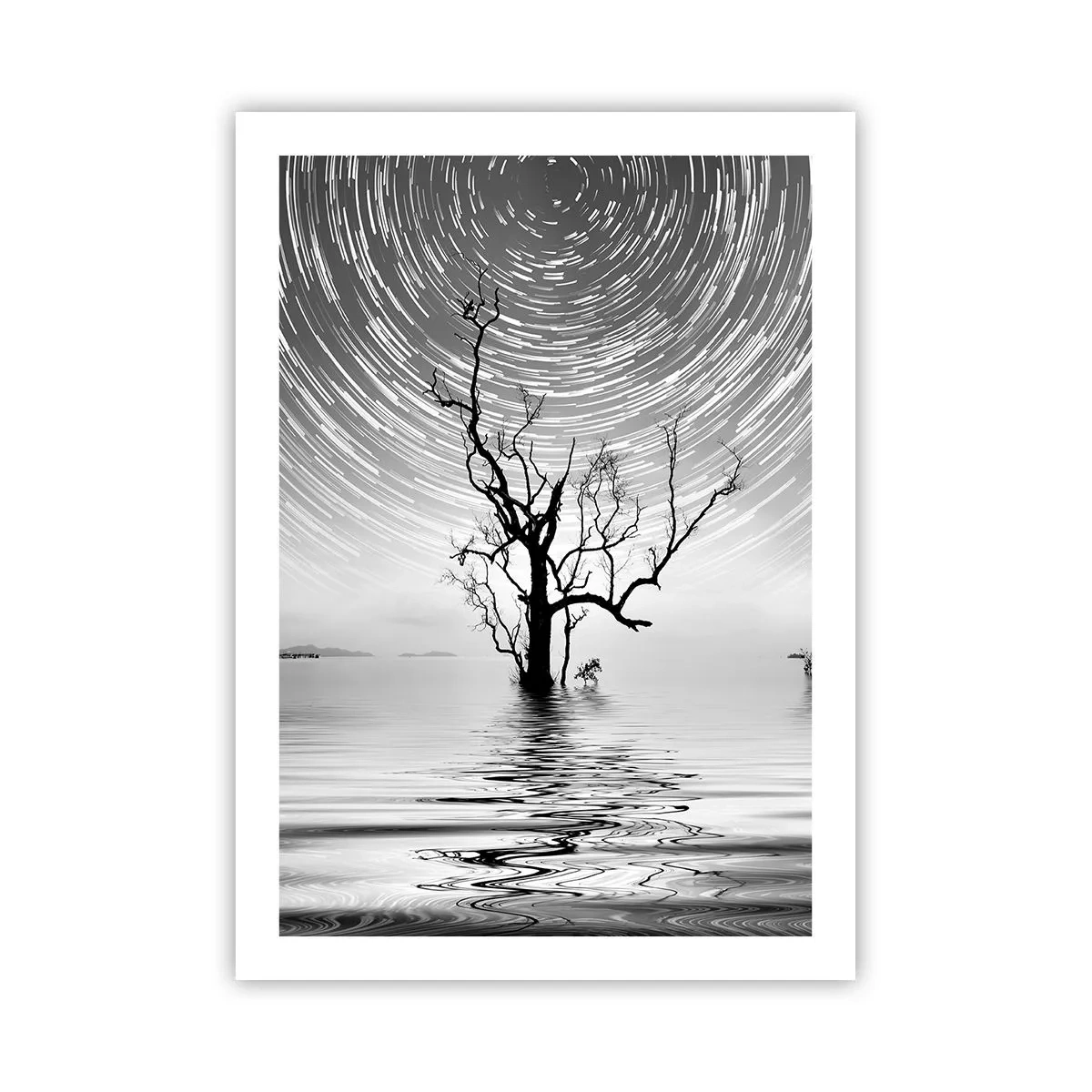 Poster - Symphony of Nature - 50x70 cm