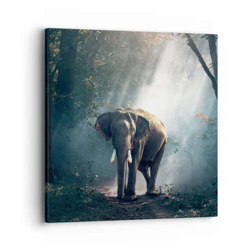 Canvas picture - Quiet Stroll - 40x40 cm