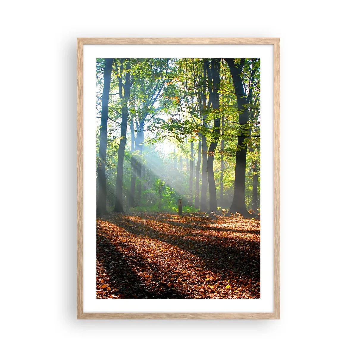 Poster in light oak frame - Highs And Lows - 50x70 cm
