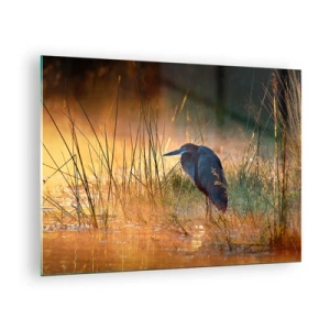 Glass picture - Sunset over a lake with a heron - 70x50cm - Stop Taking Pictures - Modern wall decoration for the living room and bedroom ARTTOR