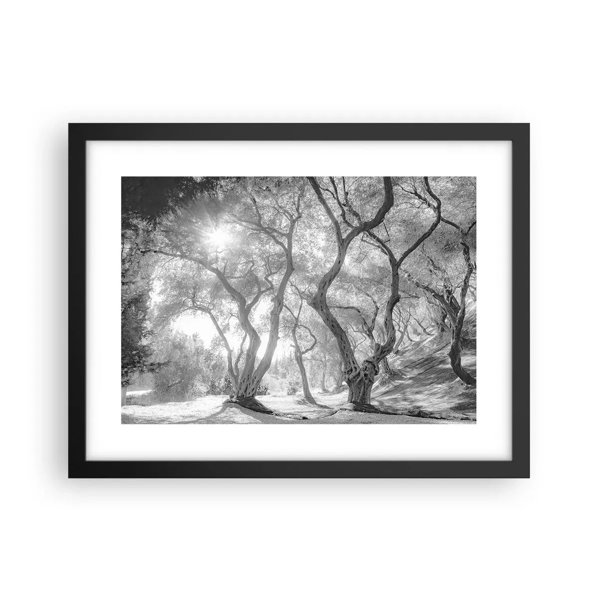 Poster in black frame - In an Olive Grove - 40x30 cm