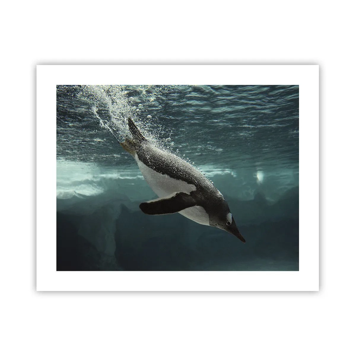 Poster - Welcome to My World - 50x40 cm