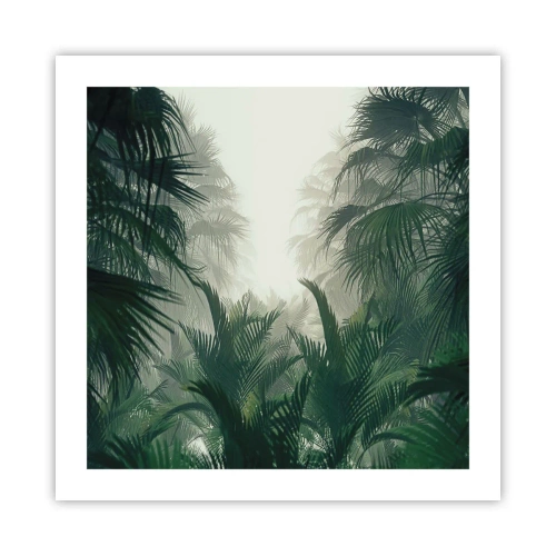 Poster - Tropical Secret - 50x50 cm