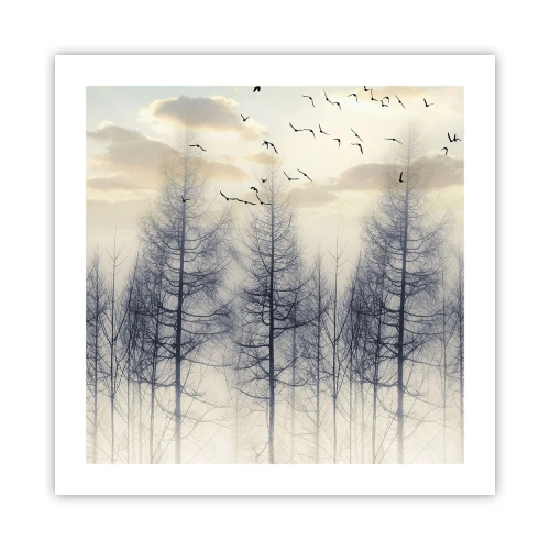 Poster - Spirits of the Forest - 50x50 cm