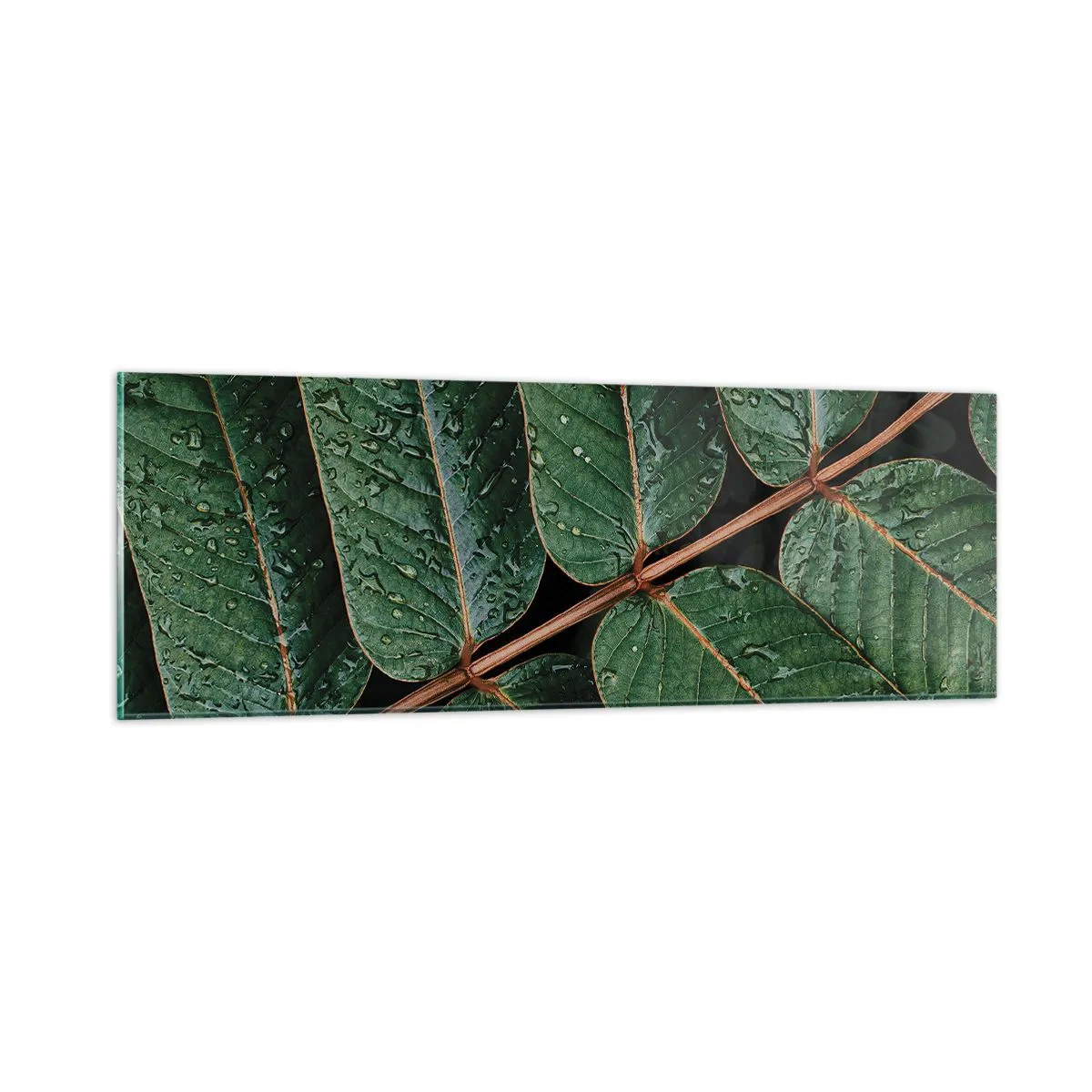 Glass picture - In Green Rhythm - 90x30 cm