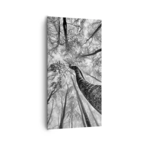 Canvas picture - Race for the Light - 65x120 cm