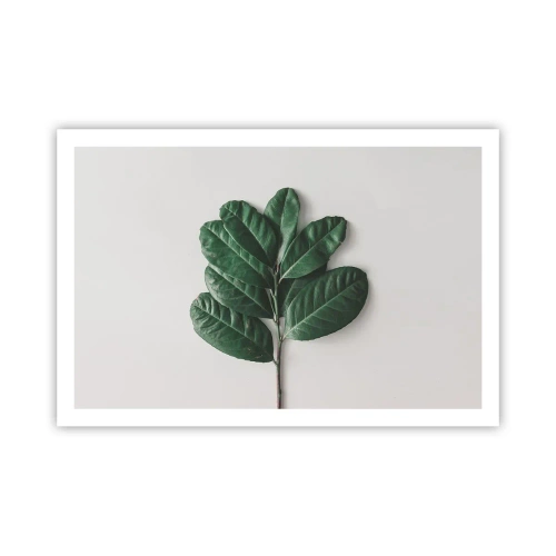 Poster - Drawing of Nature Itself - 91x61 cm