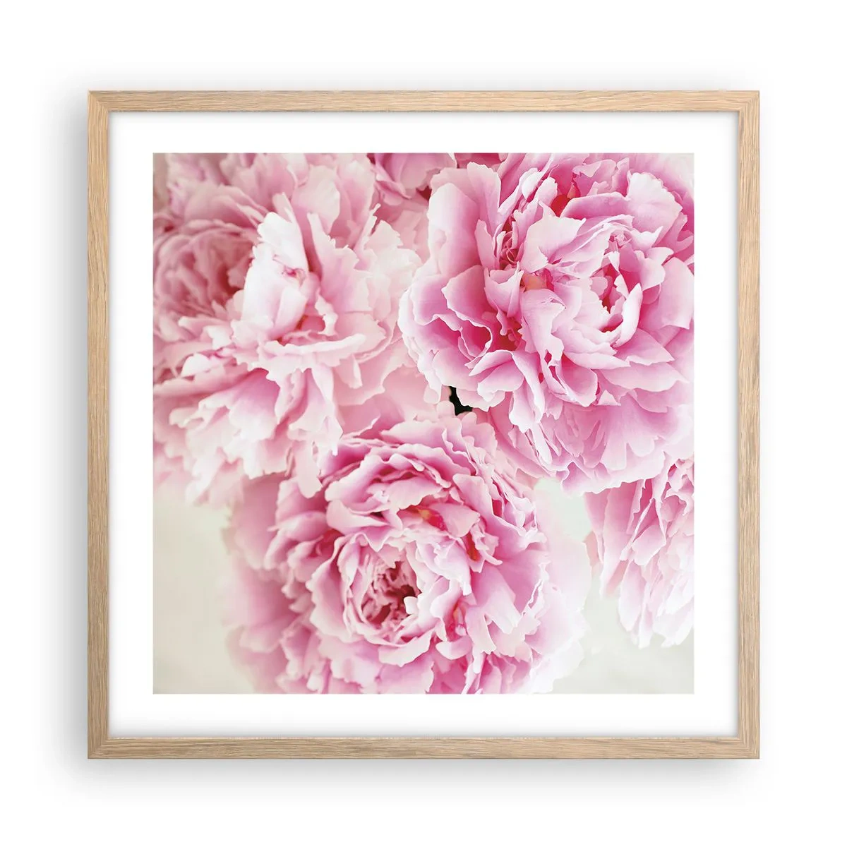 Poster in light oak frame - In Pink Splendour - 50x50 cm