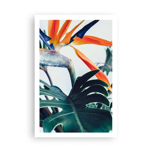 Poster - Birdy Bush - 61x91 cm