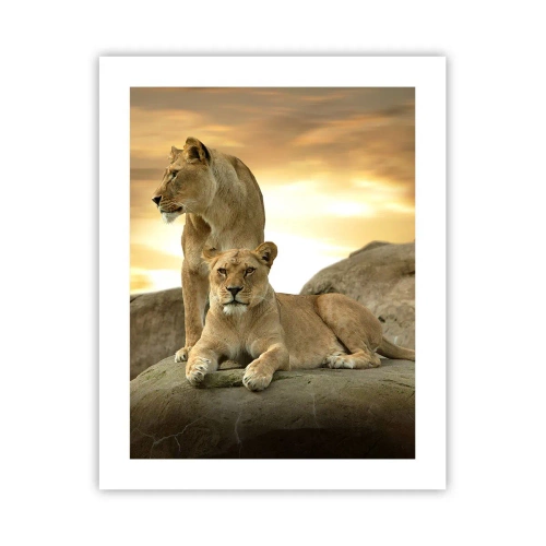 Poster - Royal Majesty - 40x50 cm