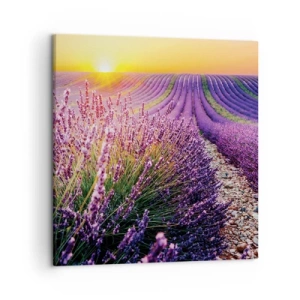 Canvas picture - Fragrant Field - 50x50 cm