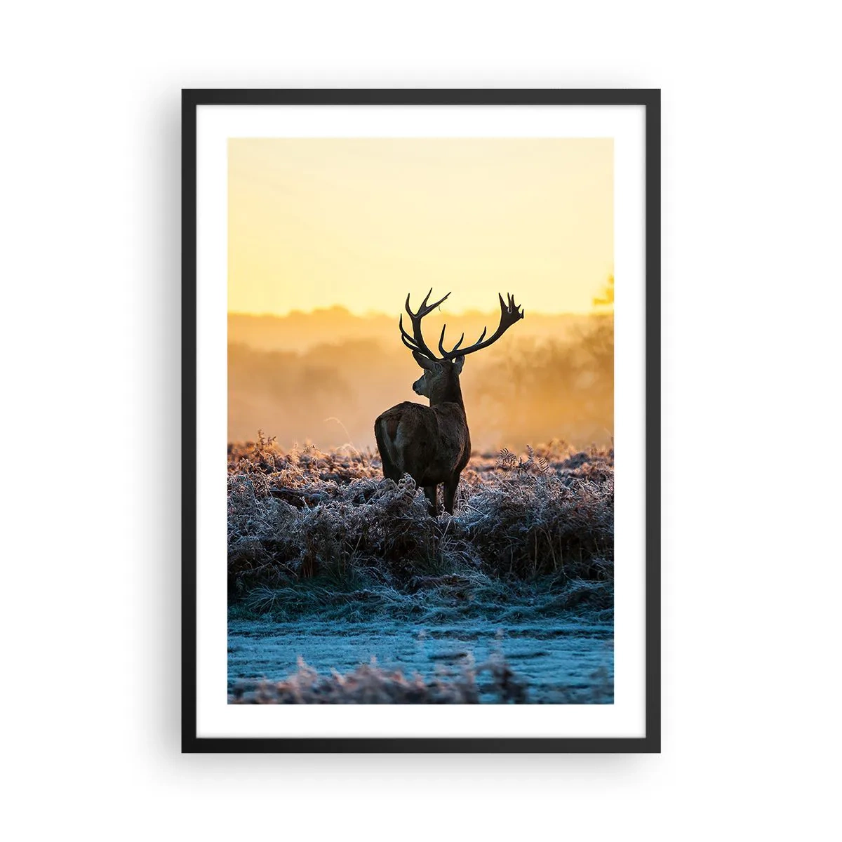 Poster in black frame - A deer in a frosty clearing at sunrise - 50x70cm - Crowned in Its Kingdom - Modern wall decoration for the living room and bedroom ARTTOR