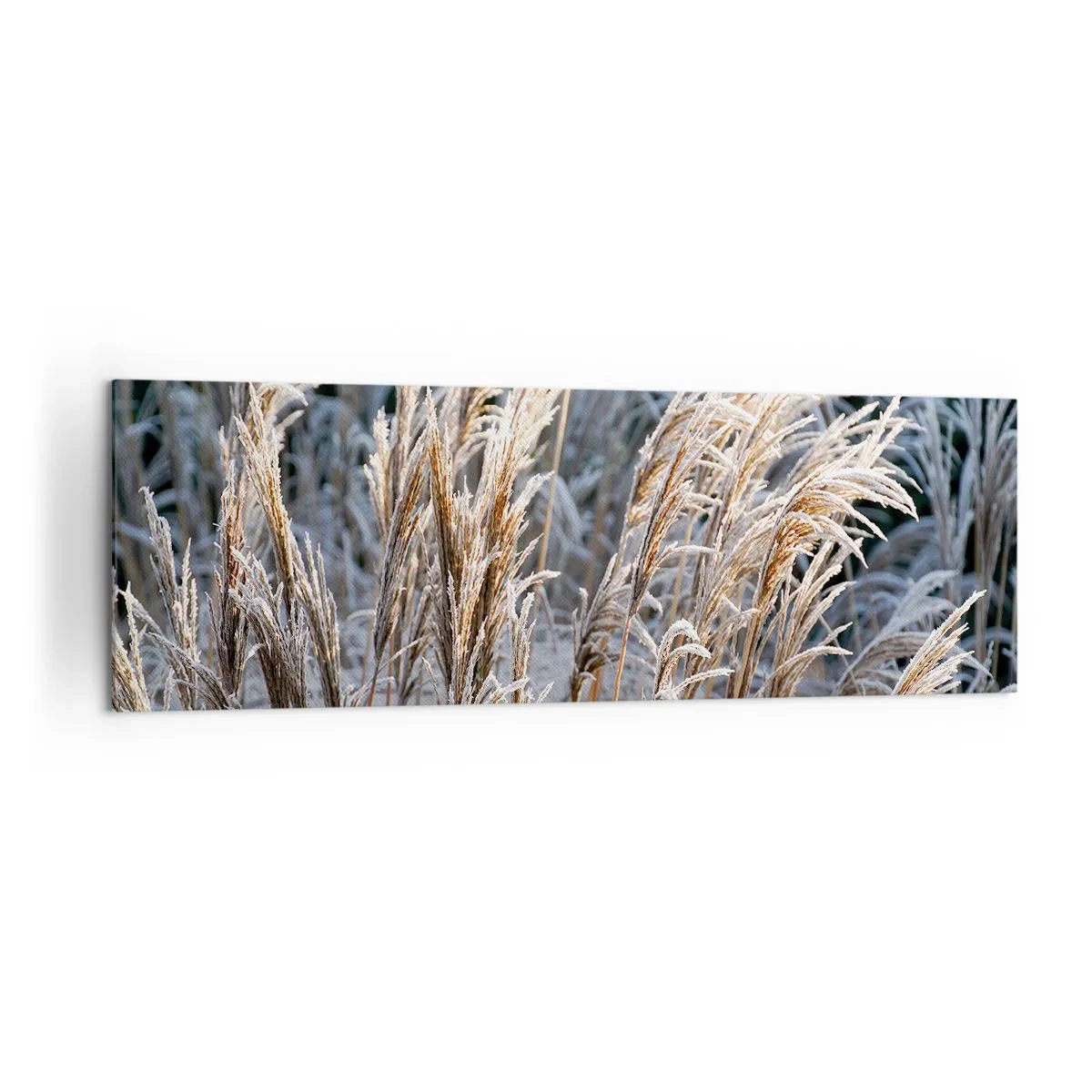 Canvas picture - Decorated with Frost - 160x50 cm
