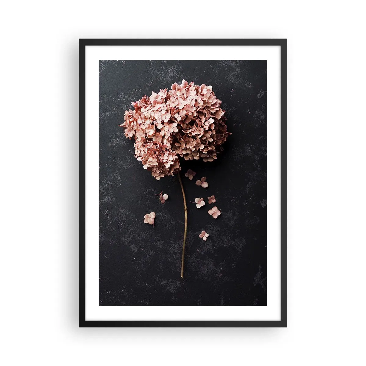 Poster in black frame - Dried hydrangea on a black background - 50x70cm - Trully Romantic Sign - Modern wall decoration for the living room and bedroom ARTTOR