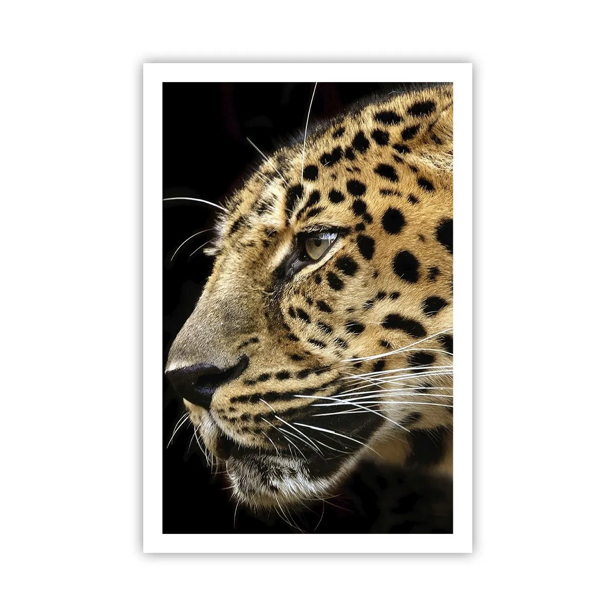 Poster - Calm, Focused, Ready - 61x91 cm