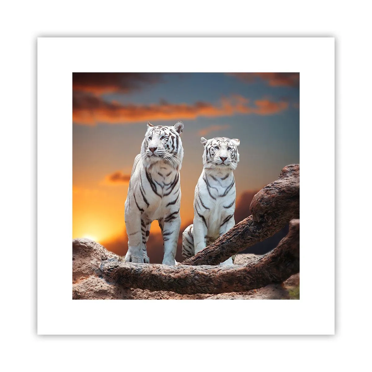 Poster - Just Like in Narnia - 30x30 cm