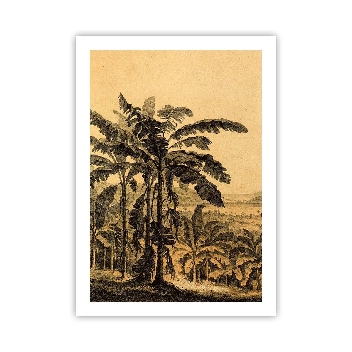 Poster - In Colonial Character - 50x70 cm
