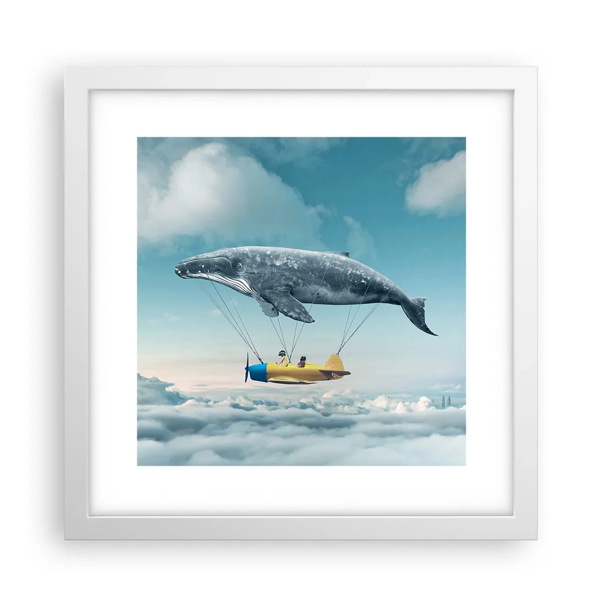 Poster in white frmae - Why Not? - 30x30 cm